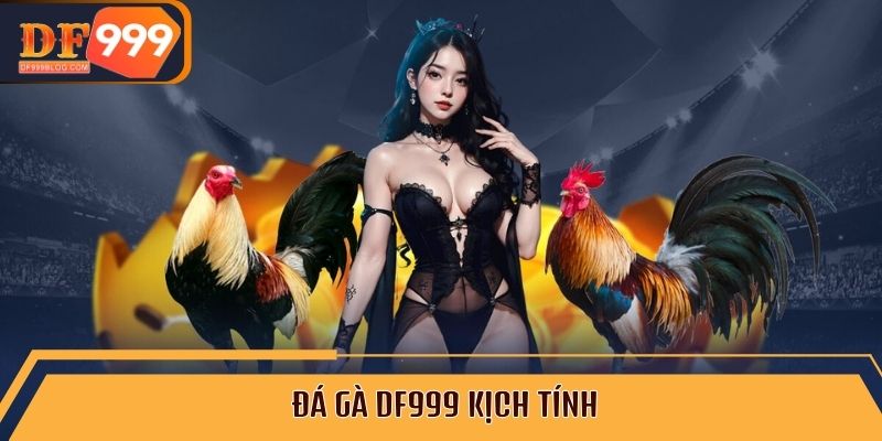 Đá gà DF999 kịch tính