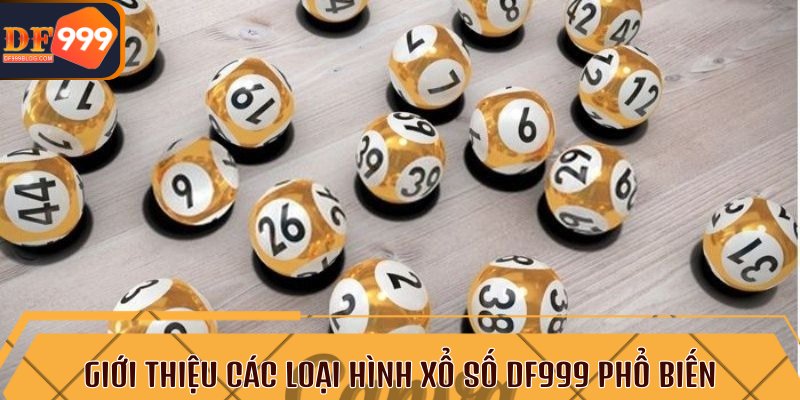 Giới thiệu các loại hình xổ số DF999 phổ biến