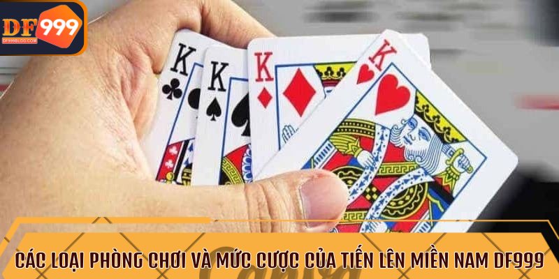 Khám phá các loại phòng chơi và mức cược của tiến lên miền Nam DF999