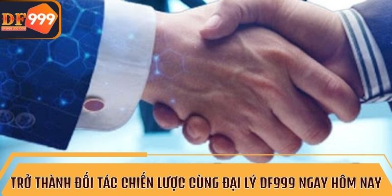 Khám phá cơ hội hợp tác hấp dẫn cùng đại lý DF999