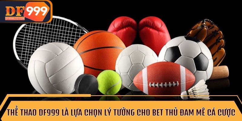 Khám phá thế giới thể thao DF999 với giao diện dễ sử dụng