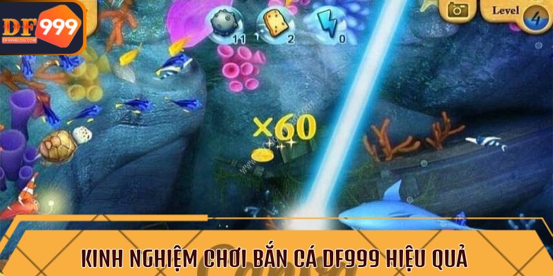 Kinh nghiệm chơi bắn cá DF999 hiệu quả và giành Jackpot khủng