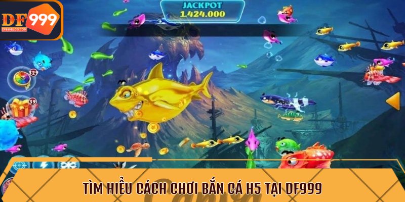 Tìm hiểu cách chơi bắn cá H5 tại DF999